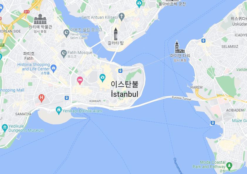 프로젝트 사업