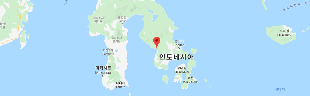 프로젝트 사업